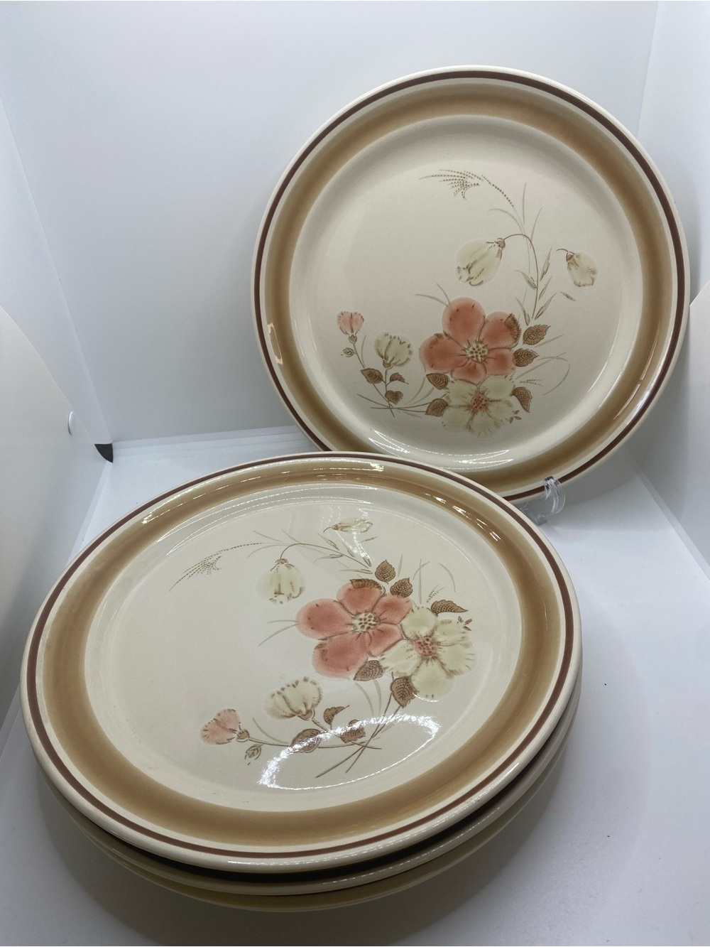 Hearthside Water Colors Blush Floral Stoneware Dinner Plates Brown Band Set of 5